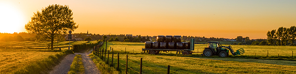 Farm field with tractor hauling bales of hay