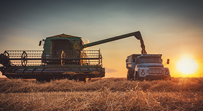 grain truck on grain field